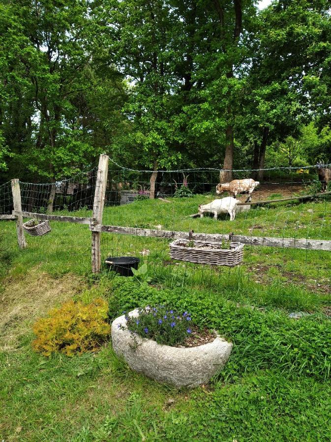 Maison Dans Un Environnement Boise Tres Calme Morlaix Exteriér fotografie