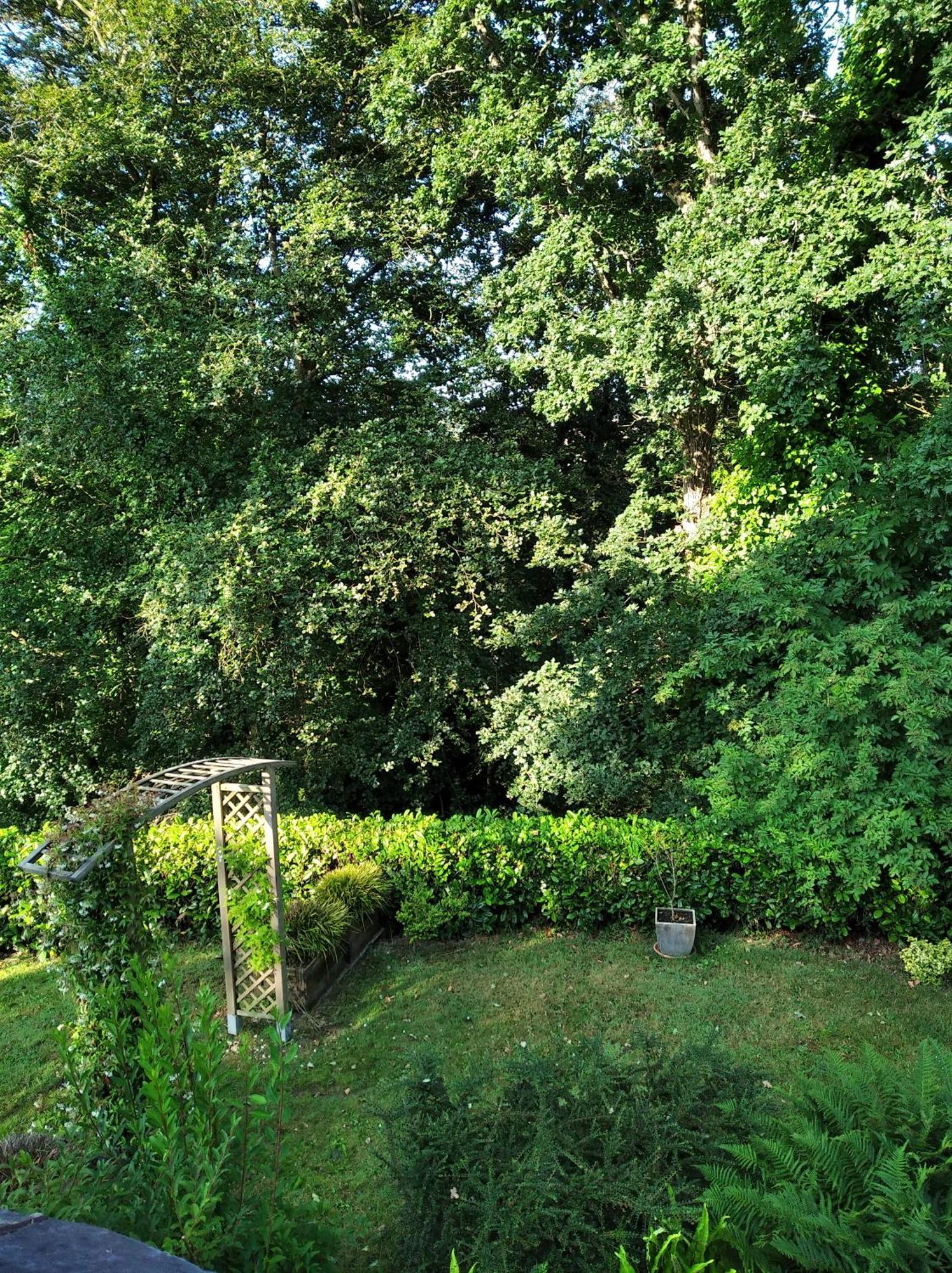 Maison Dans Un Environnement Boise Tres Calme Morlaix Exteriér fotografie